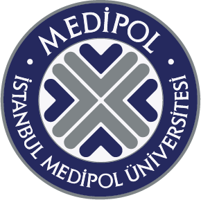 جامعة إسطنبول ميديبول